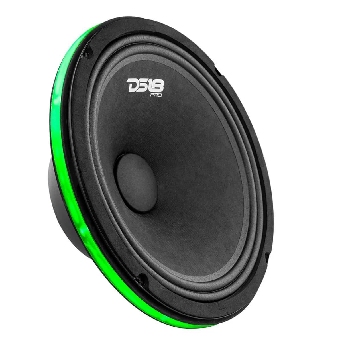 DS18 10" Speaker & Subwoofers RGB LED Ring - Image 2