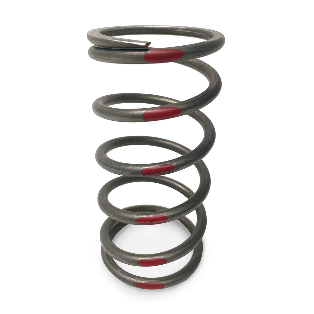 EVO TAPP Primary Clutch Springs - Image 4