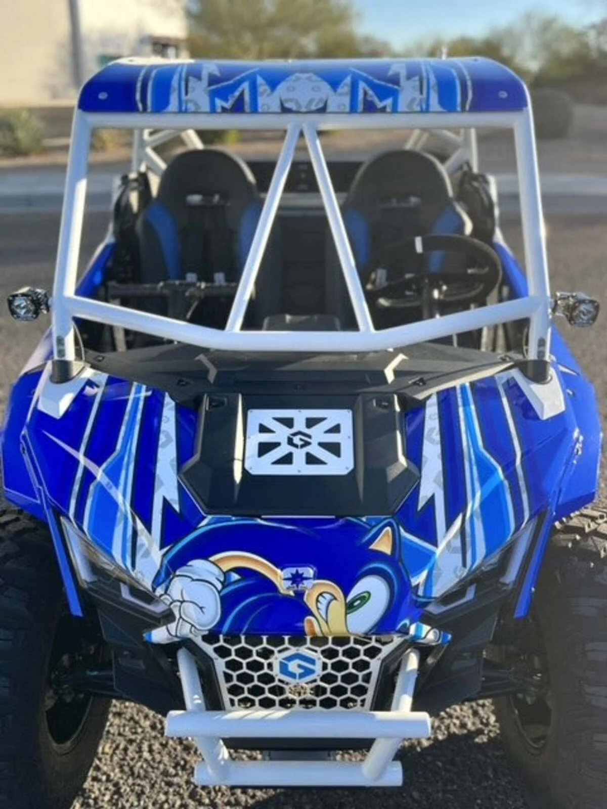 Geiser Performance Polaris RZR 200 Cage