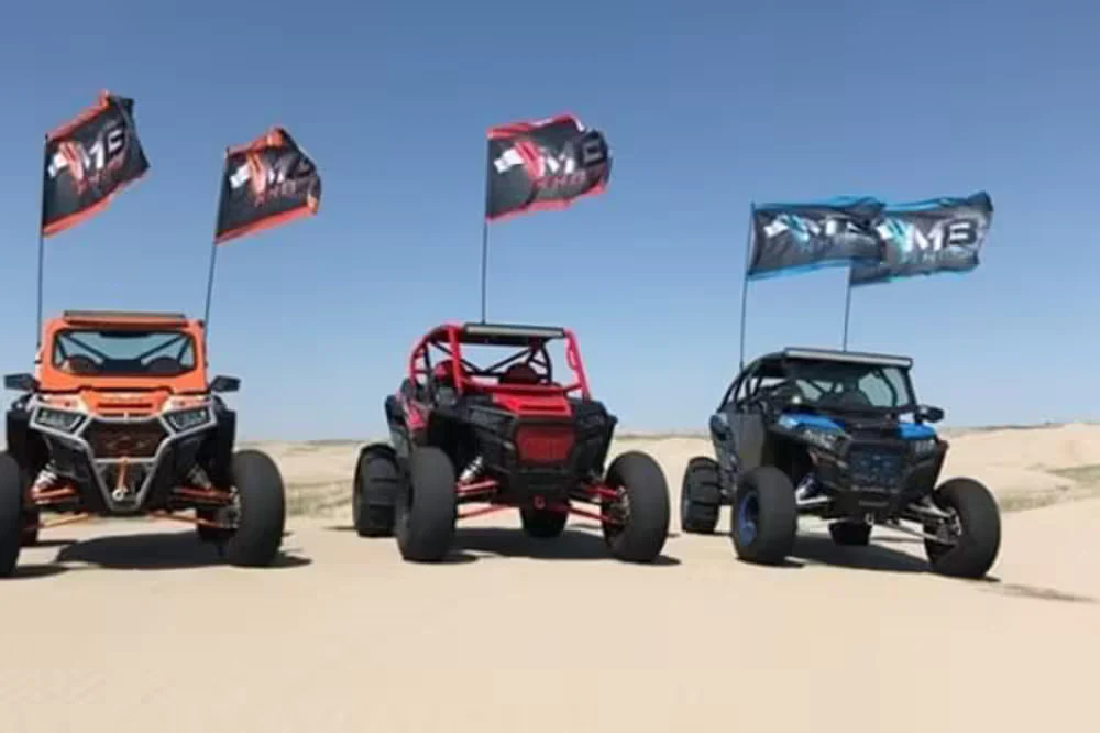 MB Whips 48" Day Whip With Quick Release and Base - Image 4