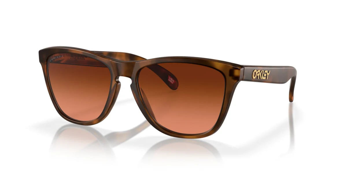 Oakley Frogskins - Low Bridge Fit - Image 15